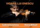Turneul naţional „Vioara lui Enescu” ajunge la Sibiu și Brașov