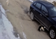 VIDEO Câine lovit de o mașină la Cisnădioara. Șoferul și-a continuat liniștit drumul