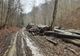 Tânăr rănit grav pe un drum forestier