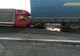 Accident rutier pe A1, cu 4 victime!