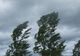 Atenționare meteo: cod galben de vânt puternic în județul Sibiu - rafale de până la 75 km/h
