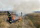 Incendiu de vegetație în localitatea Mohu