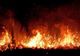 PESTE 400 DE ANGAJAȚI AI ROMSILVA, IMPLICAȚI ÎN ACȚIUNILE DE STINGERE A INCENDIILOR DE PĂDURE